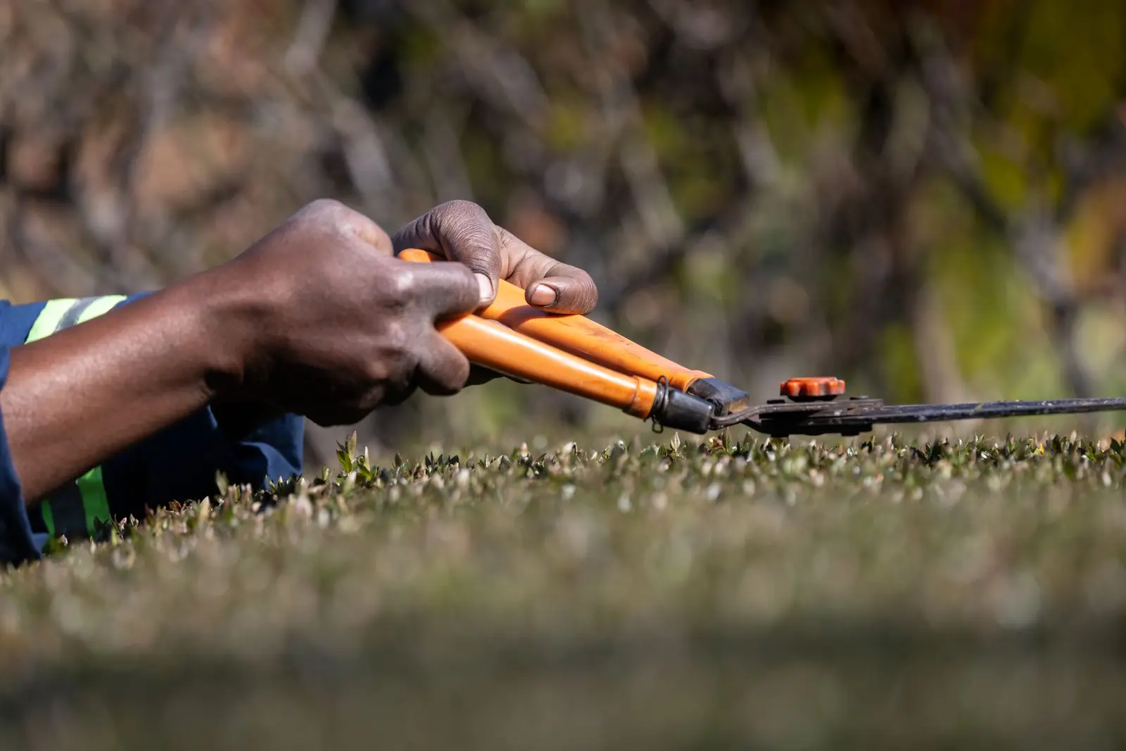 Gardener trimming bushes — a West Midlands trades business we support